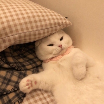 被央视点名的6大冬景！第3个美到限流